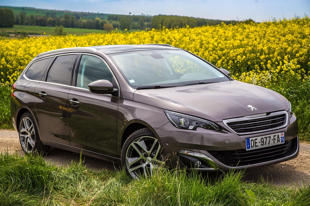 découvrez l'univers peugeot : actualités, nouveautés automobiles, modèles emblématiques, innovations technologiques et conseils d’entretien pour votre voiture peugeot.