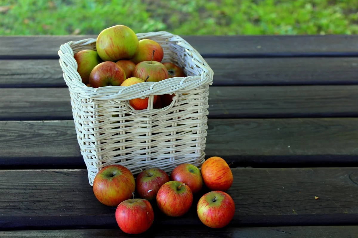 Découvrez combien de pommes pour 1 kg en 2026 : le guide ultime des amateurs de fruits