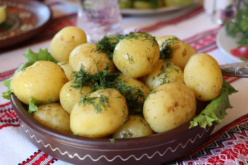 Comment bien choisir ses pommes selon l’usage ?