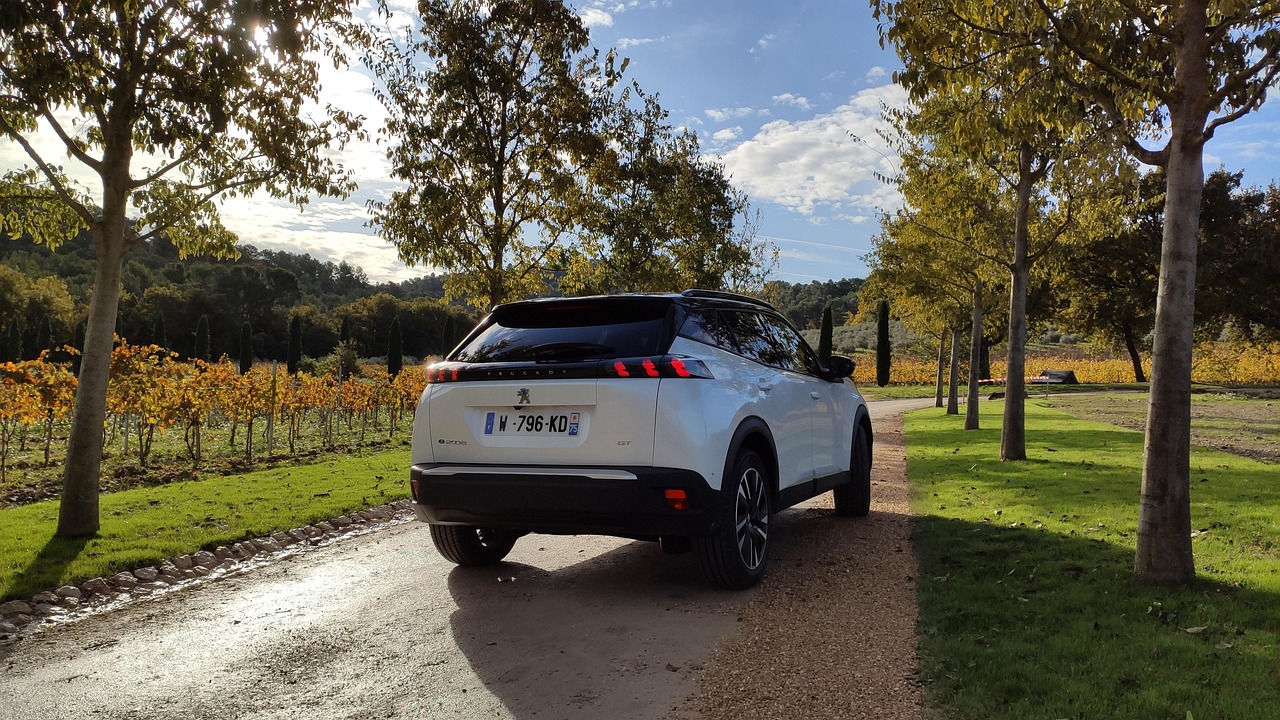 Comité d’entreprise Peugeot : réponses aux questions courantes sur les droits des salariés