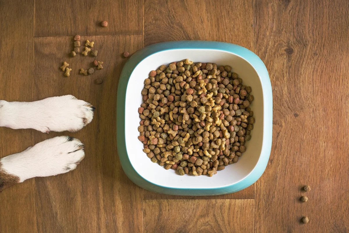 Alimentation et comportement : ce que j’ai appris à mes dépens