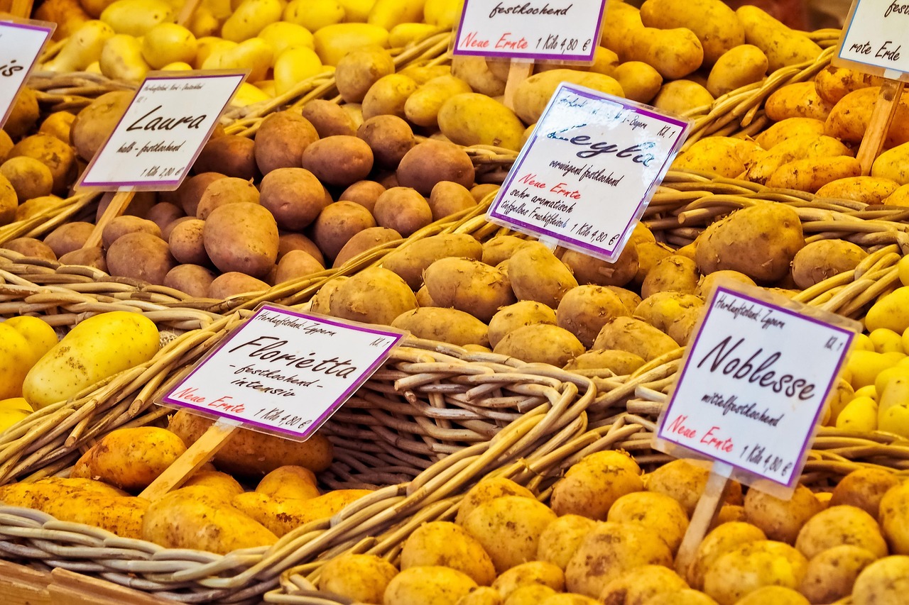 découvrez les tendances et analyses de la croissance du marché, explorez les opportunités d'expansion et apprenez comment les entreprises peuvent tirer parti des dynamiques économiques pour se développer efficacement.