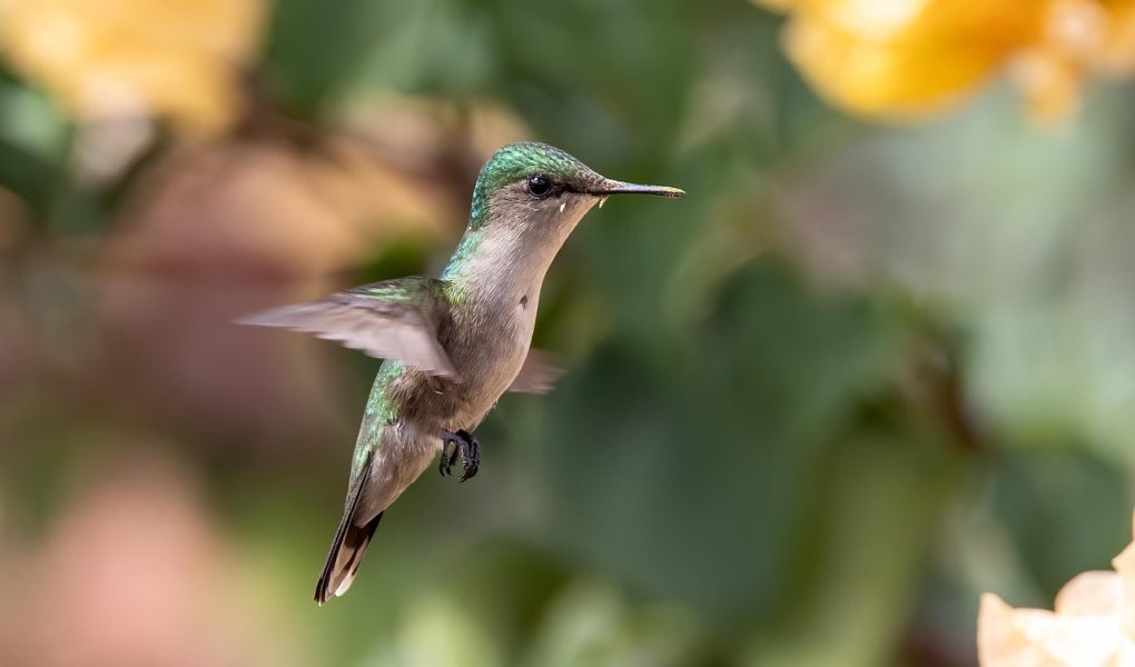 découvrez l'univers des micro-influenceurs, ces créateurs de contenu authentiques qui relèvent le défi de connecter les marques à des audiences ciblées. apprenez comment collaborer avec eux pour maximiser votre impact marketing et bénéficier d'une approche plus personnelle et engageante.