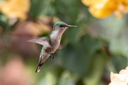 découvrez l'univers des micro-influenceurs, ces créateurs de contenu authentiques qui relèvent le défi de connecter les marques à des audiences ciblées. apprenez comment collaborer avec eux pour maximiser votre impact marketing et bénéficier d'une approche plus personnelle et engageante.