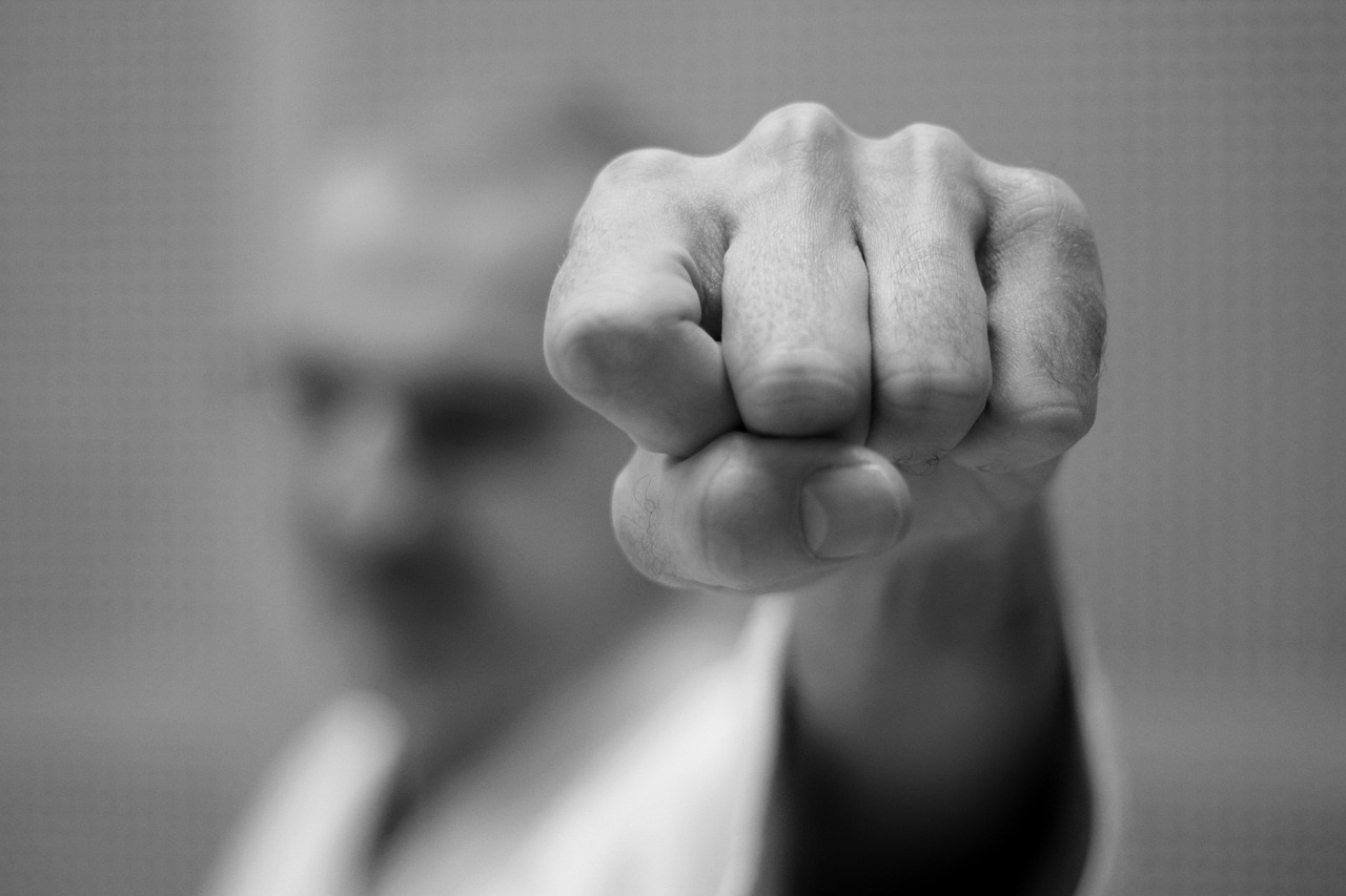 découvrez tout sur le mma : actualités, règles, événements majeurs, champions et conseils pour débutants et passionnés d’arts martiaux mixtes.