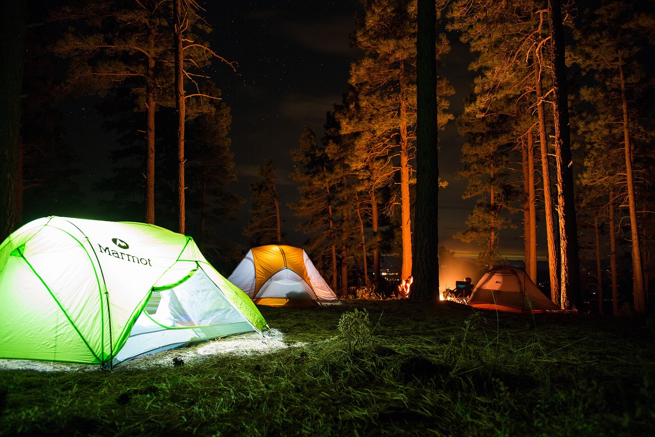 découvrez nos camps de vacances en france : activités ludiques, encadrement professionnel, séjour inoubliable pour enfants et adolescents. réservez votre aventure dès maintenant !