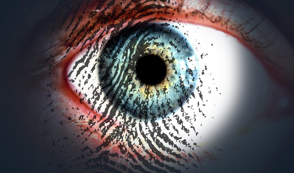 découvrez l'importance de la data security : méthodes, outils et bonnes pratiques pour protéger vos données contre les cybermenaces et garantir leur confidentialité.