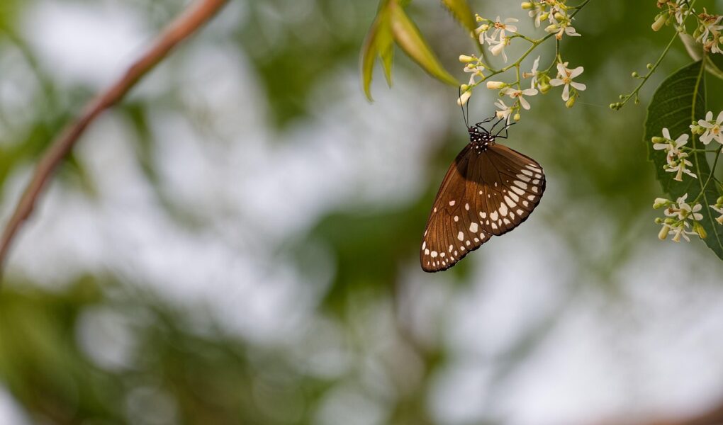 d&eacute;couvrez notre design de stand &eacute;cologique alliant innovation et respect de l'environnement pour valoriser votre pr&eacute;sence tout en r&eacute;duisant votre impact carbone.