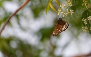 d&eacute;couvrez notre design de stand &eacute;cologique alliant innovation et respect de l'environnement pour valoriser votre pr&eacute;sence tout en r&eacute;duisant votre impact carbone.