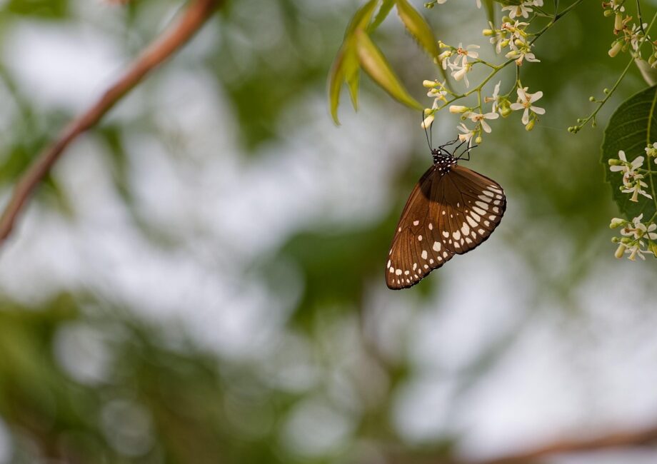 d&eacute;couvrez notre design de stand &eacute;cologique alliant innovation et respect de l'environnement pour valoriser votre pr&eacute;sence tout en r&eacute;duisant votre impact carbone.