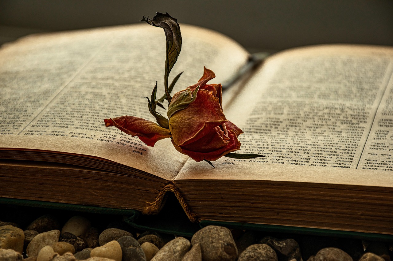 mod&egrave;le et conseils pour r&eacute;diger une lettre de motivation efficace qui capte l'attention des recruteurs et valorise votre candidature.