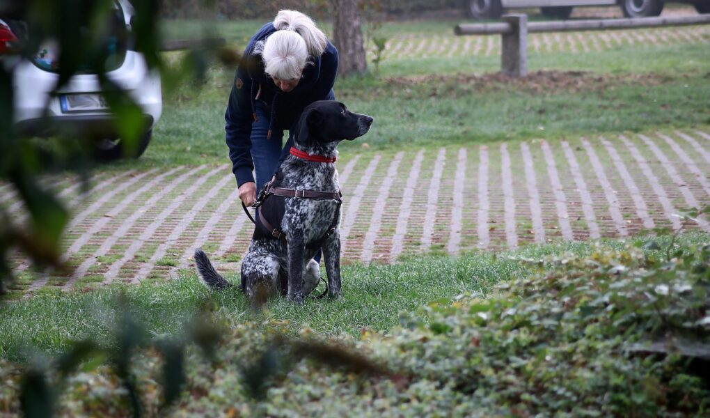 formation en recherche payante pour ma&icirc;triser les campagnes publicitaires en ligne et optimiser votre retour sur investissement.