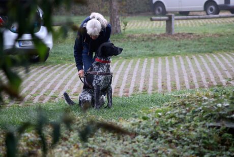 formation en recherche payante pour ma&icirc;triser les campagnes publicitaires en ligne et optimiser votre retour sur investissement.