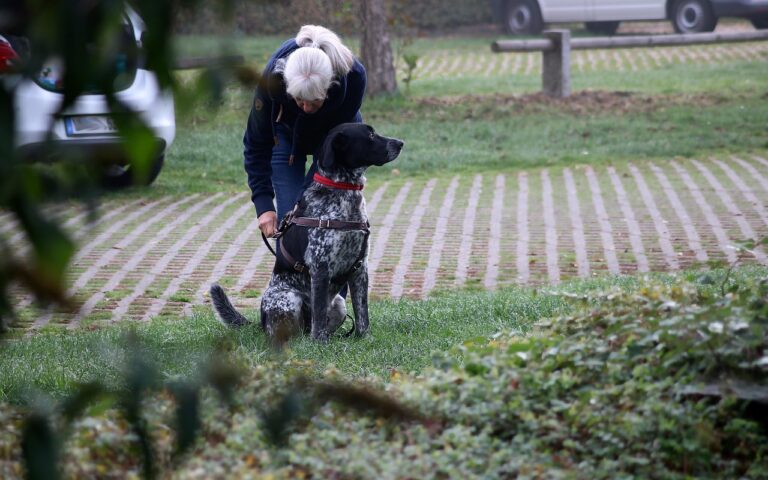 formation en recherche payante pour ma&icirc;triser les campagnes publicitaires en ligne et optimiser votre retour sur investissement.